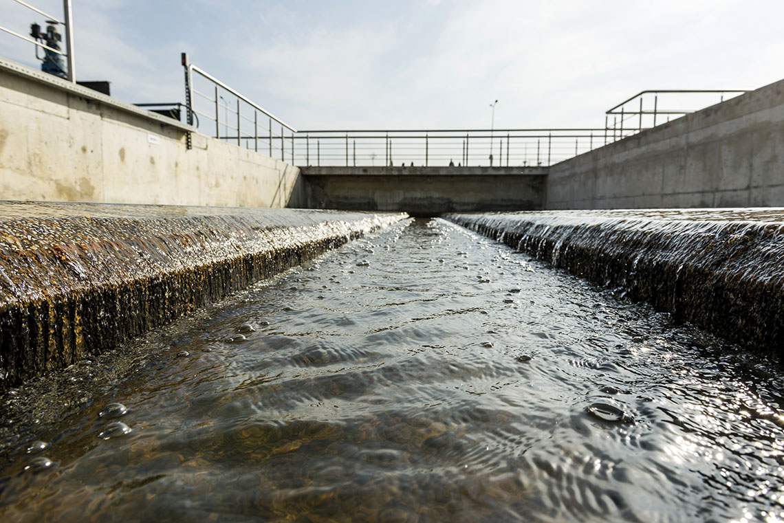 Water settling, purification in the tank by biological organisms on the water station.